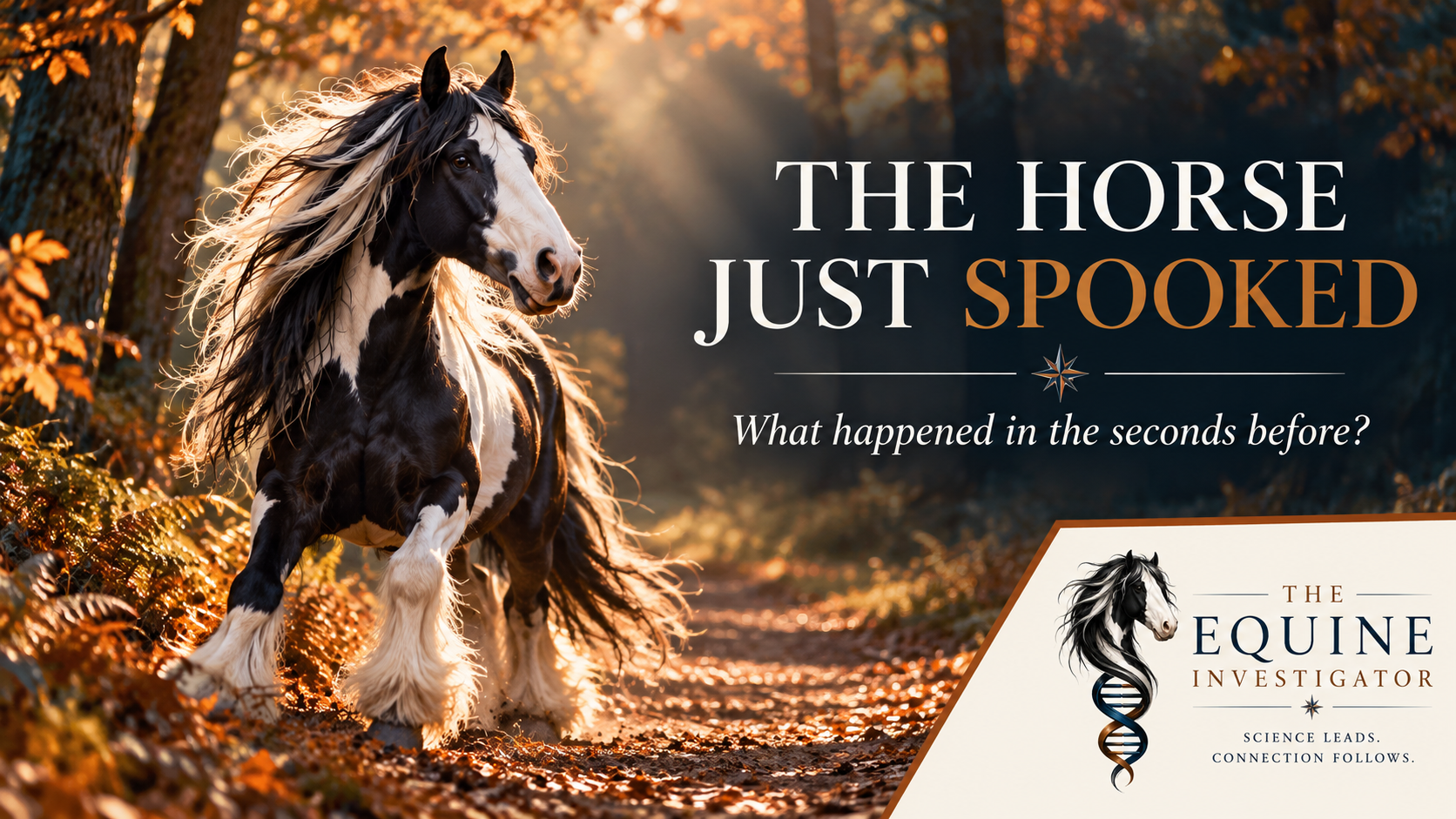 The Horse Just Spooked