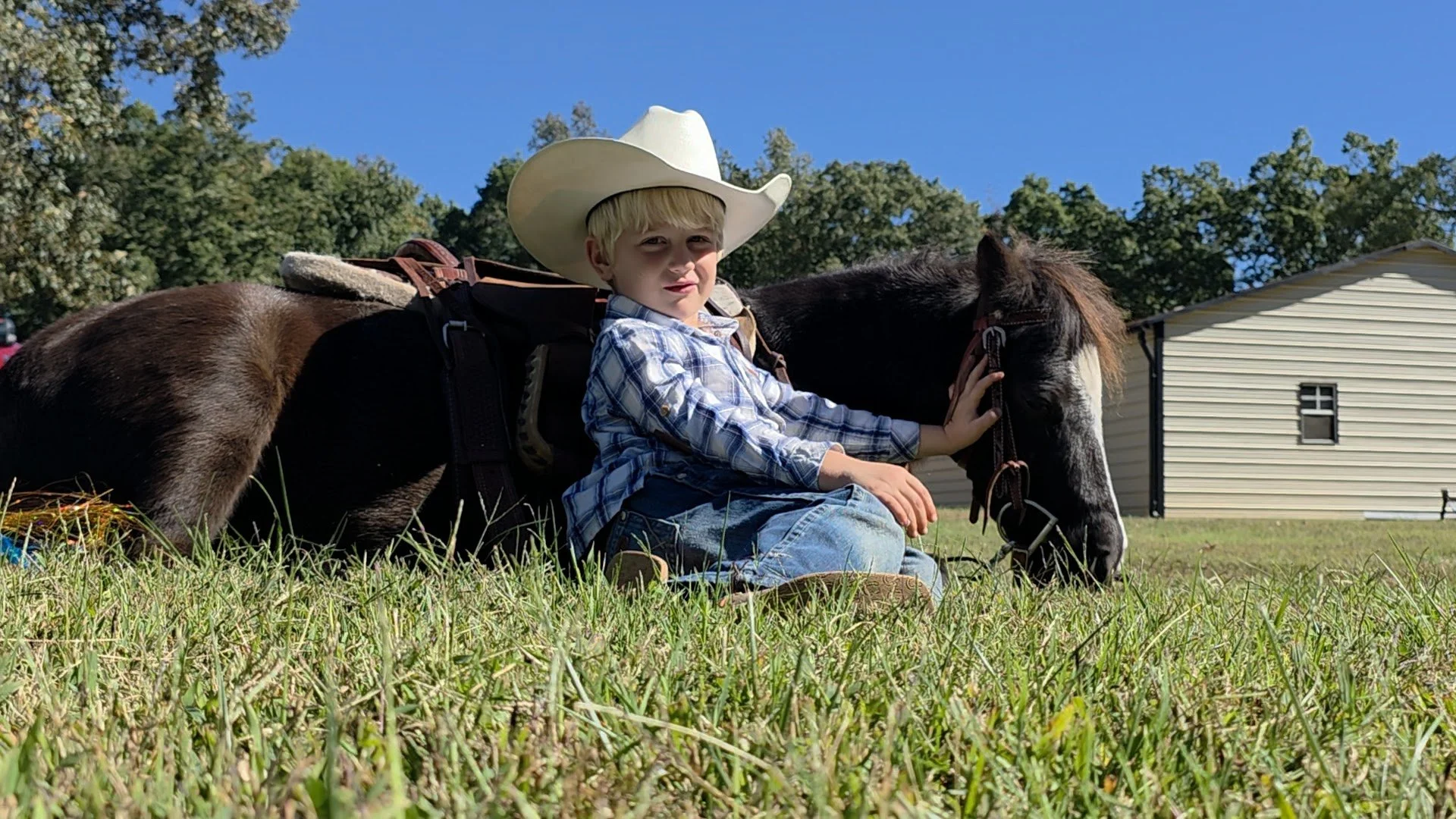Horse for Sale | Snoopy | Pony Gelding. A young boy wearing a cowboy hat and plaid shirt sits on the grass next to a brown and white horse, petting its face. In the background, there are green trees and a beige building under a clear blue sky.