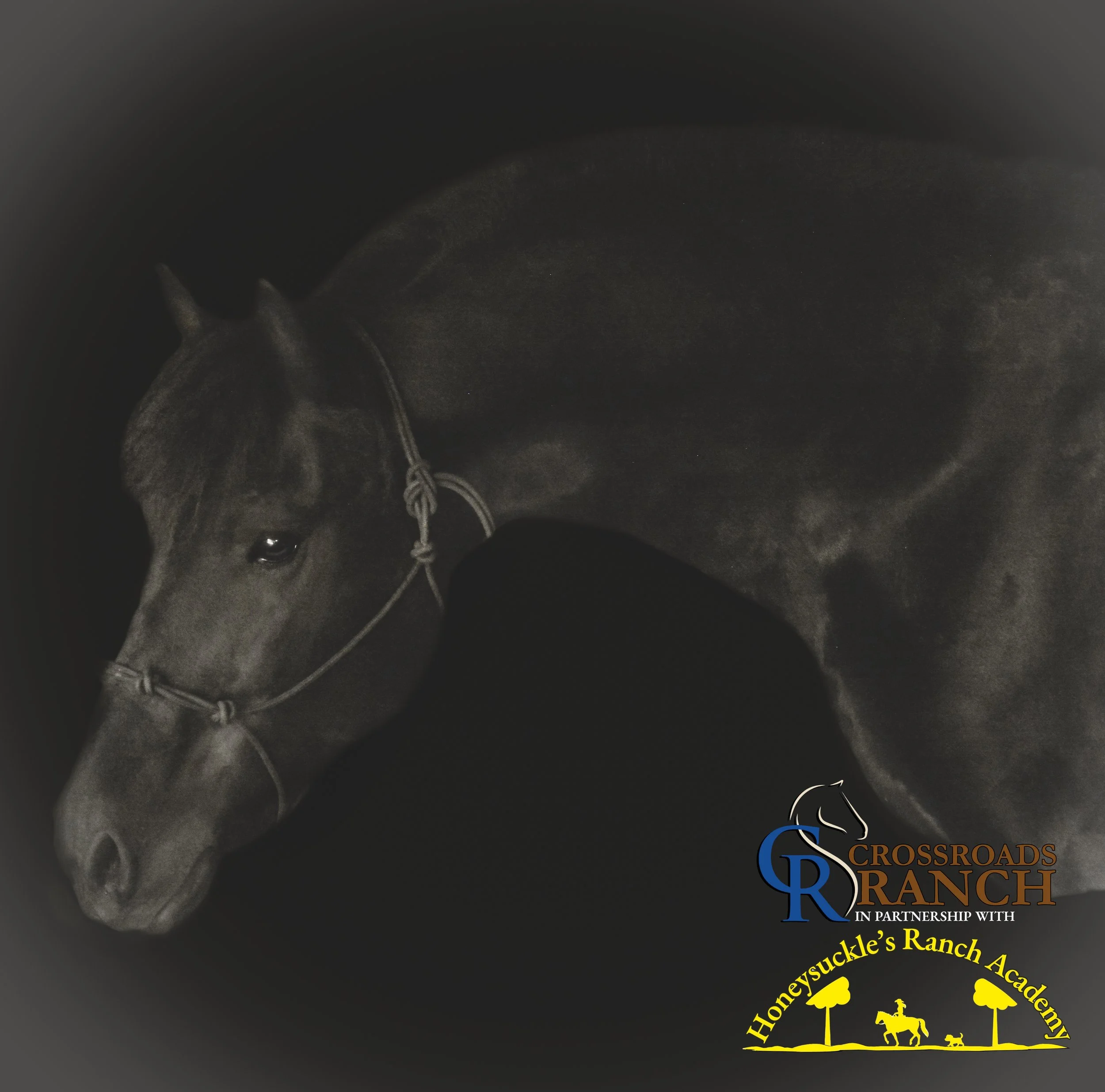 MILO Bloackbackground.jpg