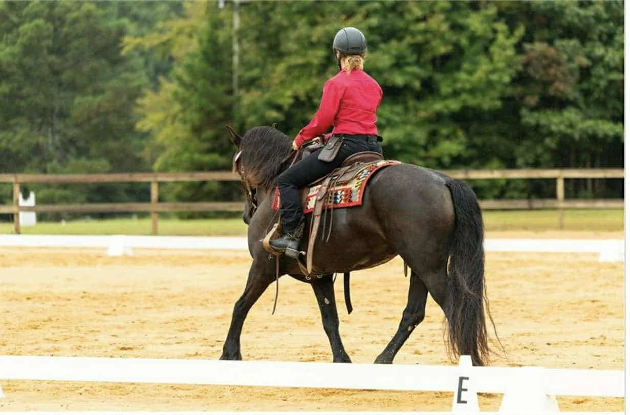 3Lyric Western Dressage.jpeg