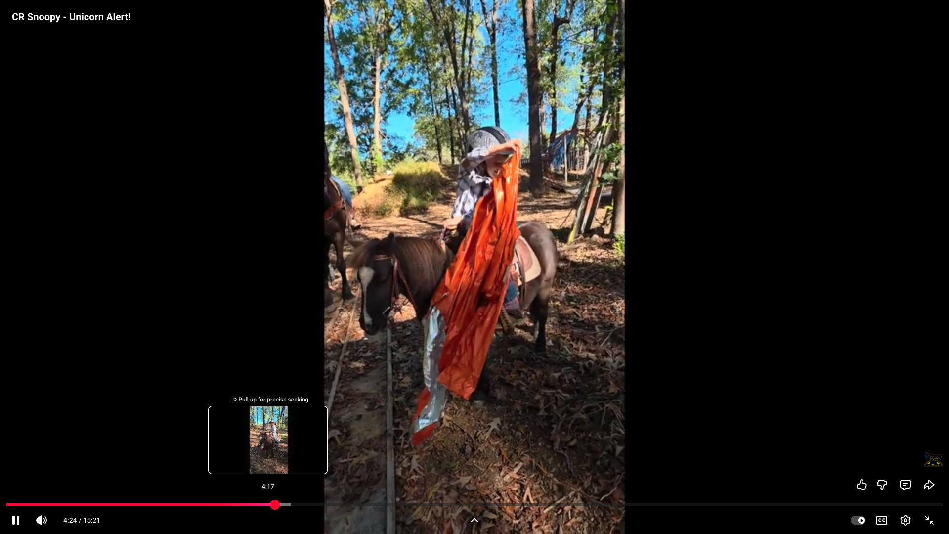 Horse for Sale | Snoopy | Pony Gelding. Person riding a small horse in a wooded outdoor area, holding orange fabric, with trees and a blue sky in the background.