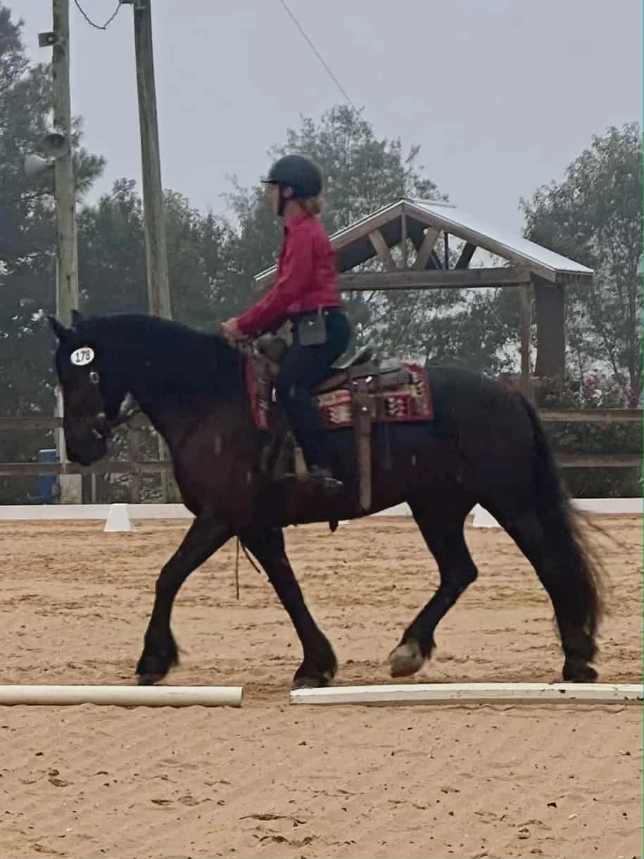 5Lyric Western Dressage.jpeg