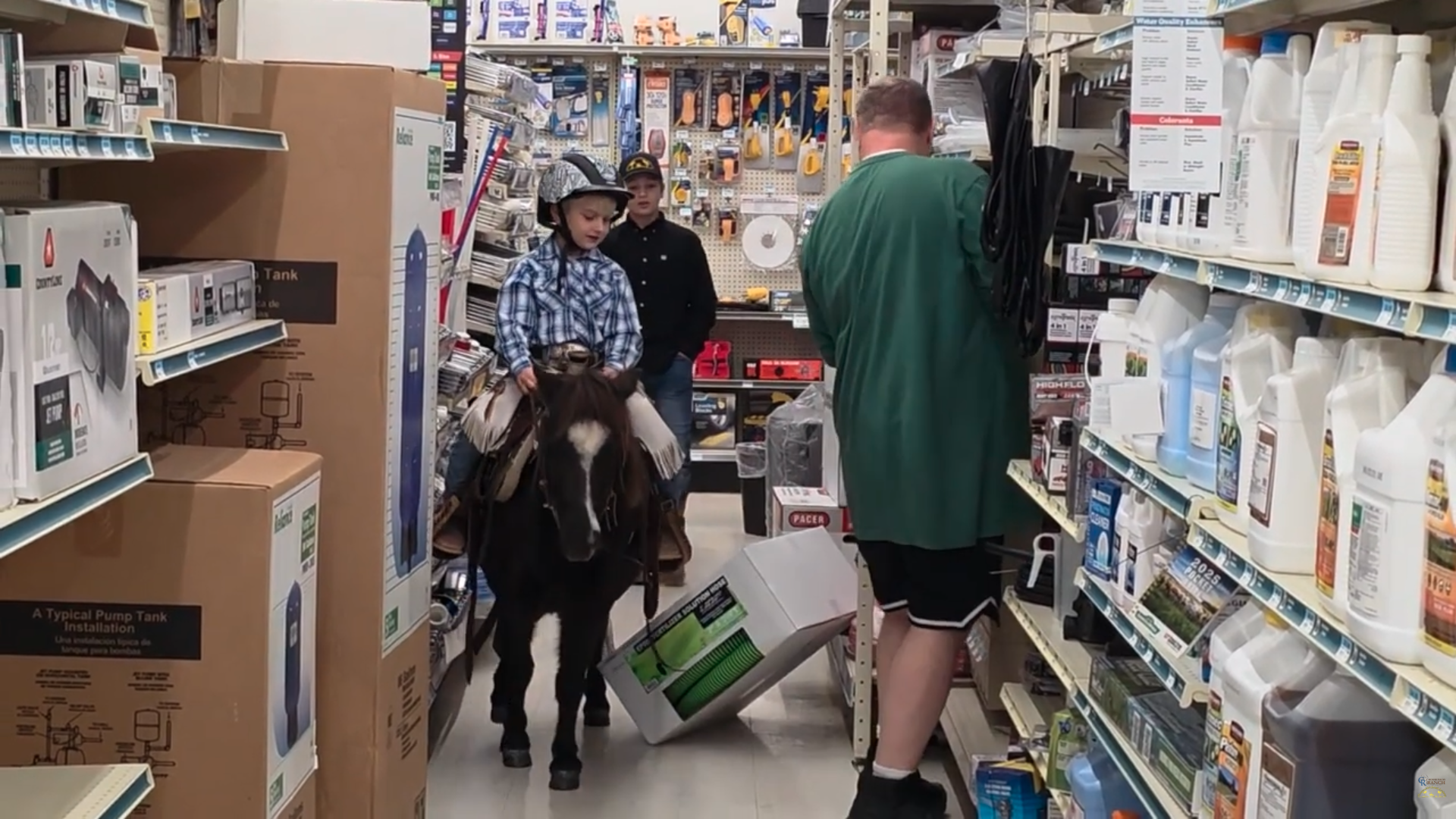 Horse for Sale | Snoopy | Pony Gelding. A young boy riding a horse toy through a store aisle, with an adult and another boy behind him, surrounded by shelves of household and gardening supplies.