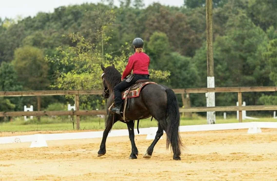 2Lyric Western Dressage.jpeg