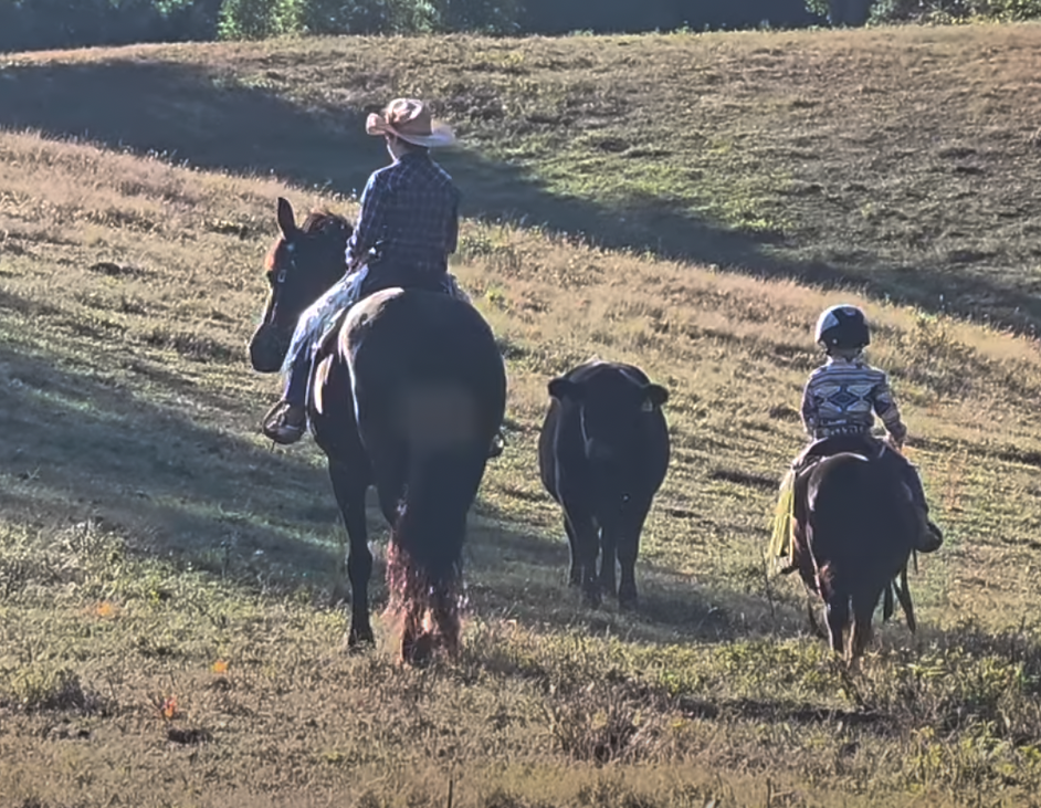 Horse for Sale | Snoopy | Pony Gelding. Two children riding ponies in a grassy field during late afternoon or early evening, with one child wearing a cowboy hat and the other a helmet.