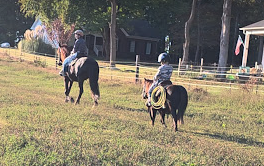 Horse for Sale | Snoopy | Pony Gelding. Two people riding horses in a grassy field with trees and a building in the background.