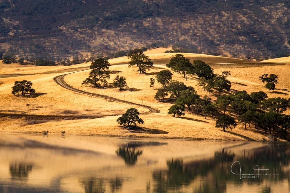 Reflections of a Reservoir