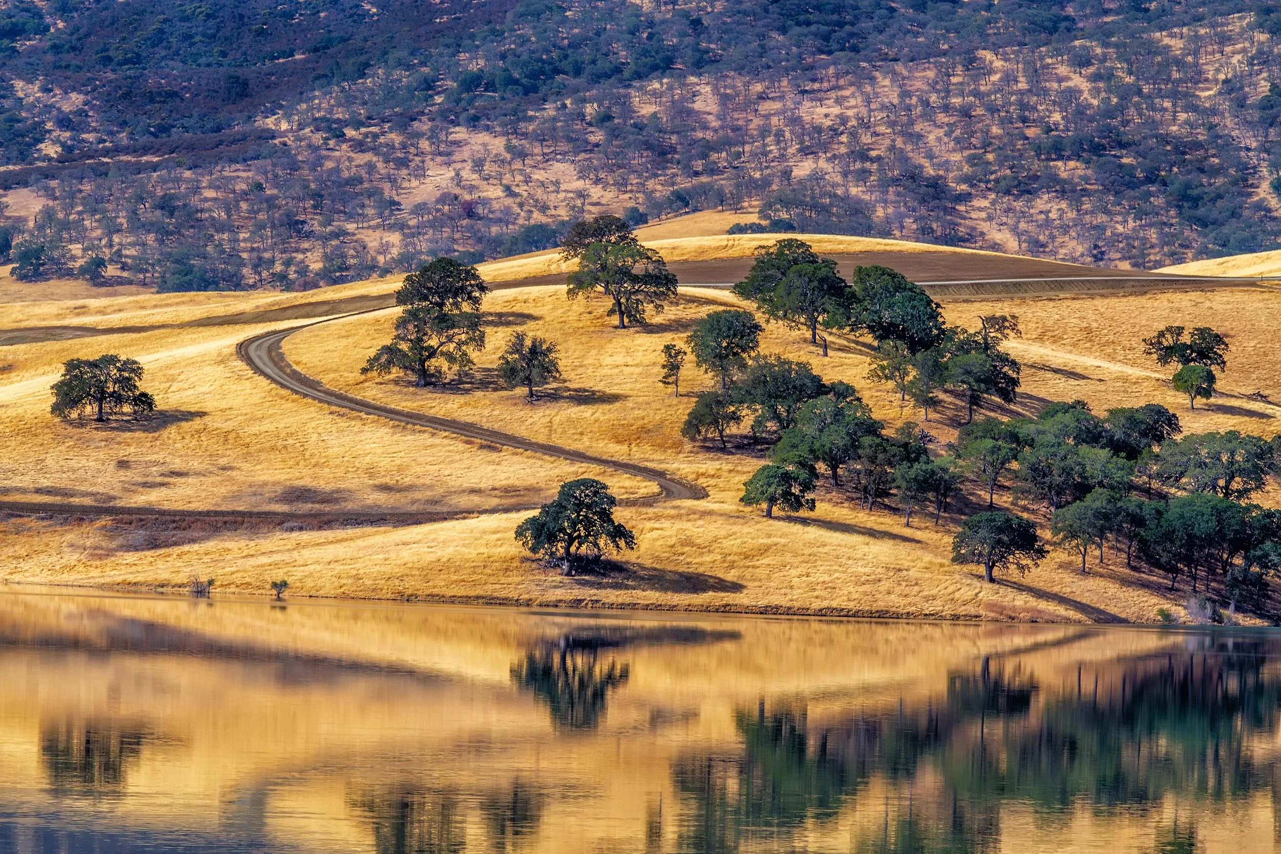 Golden Hills Reflection