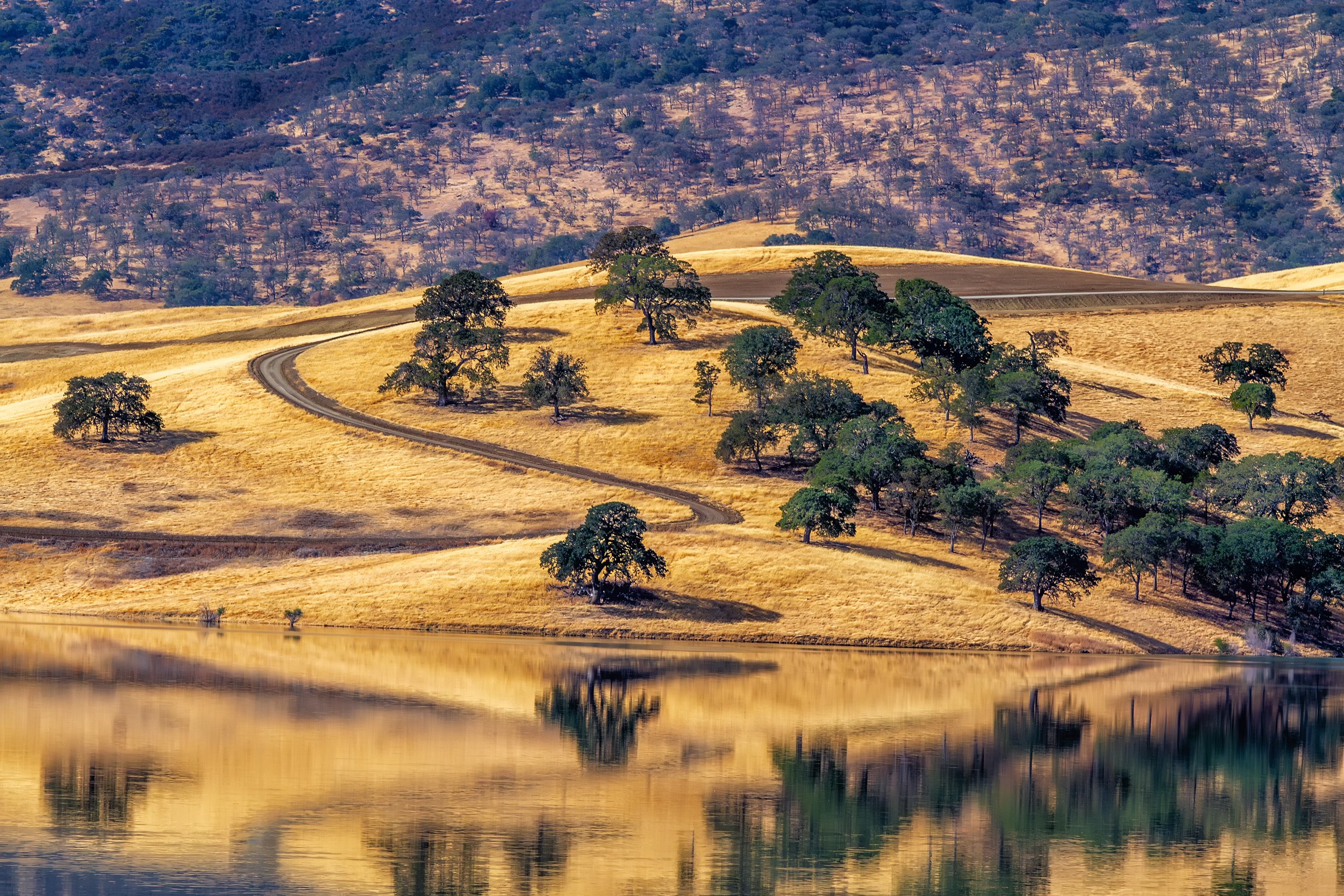Golden Hills Reflection

 

 Los Vaqueros Reservoir and its surrounding watershed preserve open space, grassland, and oak-dotted hills in Contra Costa County, California. Seasonal light and changing vegetation create broad reflection views across the