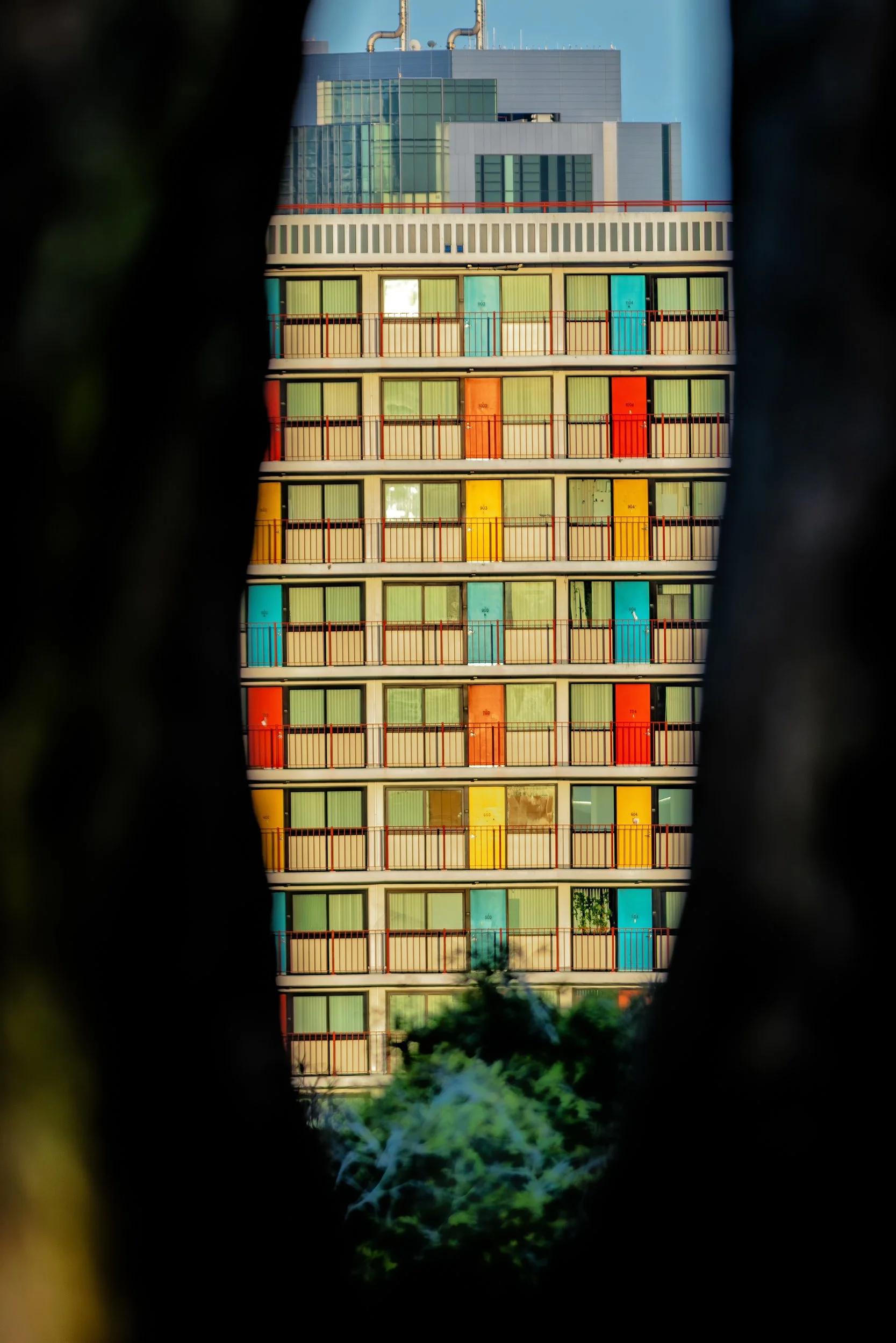JFK Towers Through the Trees

 

 Colorful doors and balcony lines on JFK Towers appear between dark foreground trees in San Francisco. The record centers on urban residential architecture, color, and repeated façade details. 