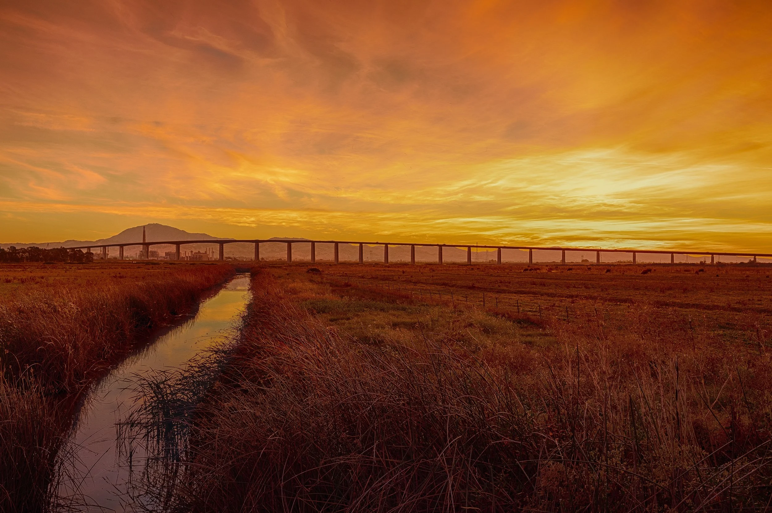 Golden Marsh at Mount Diablo

 

 Cayucos Pier stands along the shoreline in Cayucos on California’s central coast. The wooden pier has been a familiar feature of the town’s waterfront for generations and remains a local landmark. 
