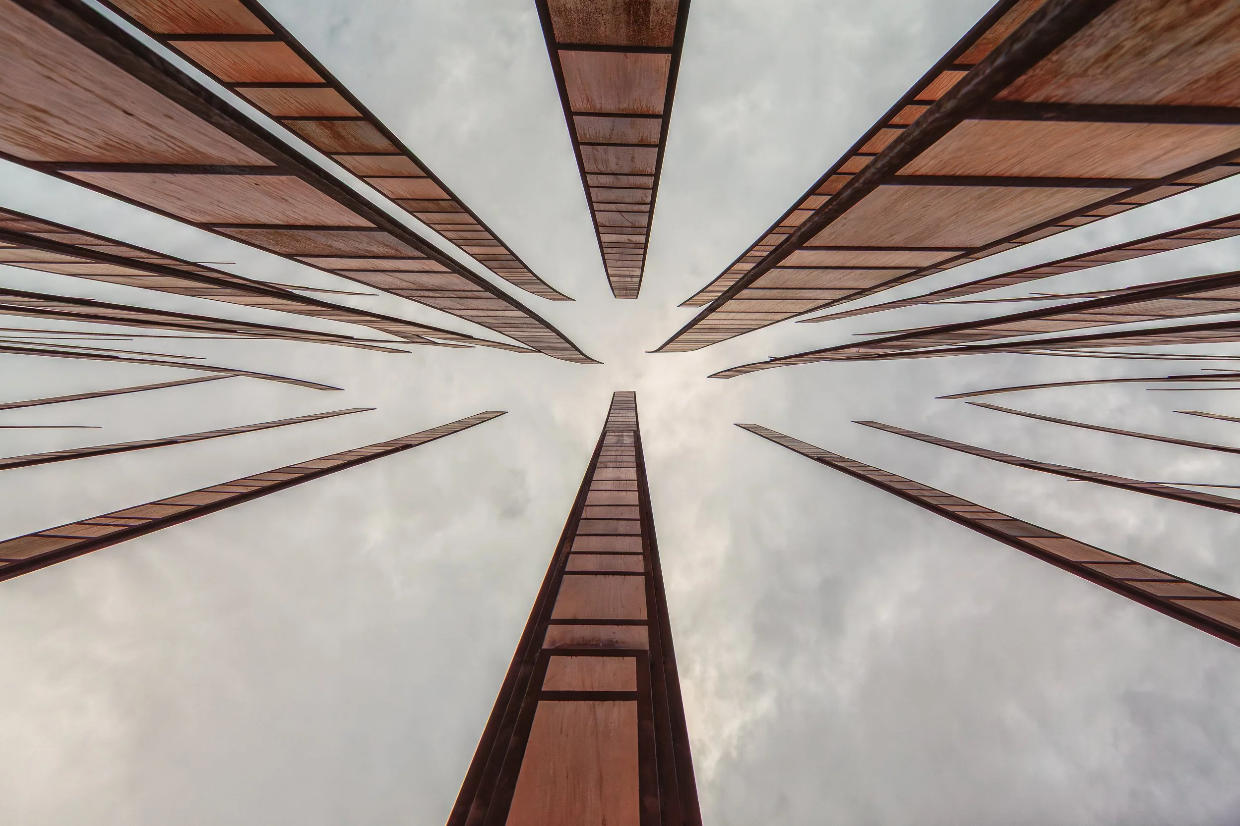 Reaching Skyward

 

  Grass Blades, a 2002 sculpture by John Fleming, stands at Seattle Center near the Space Needle and the Museum of Pop Culture area. 