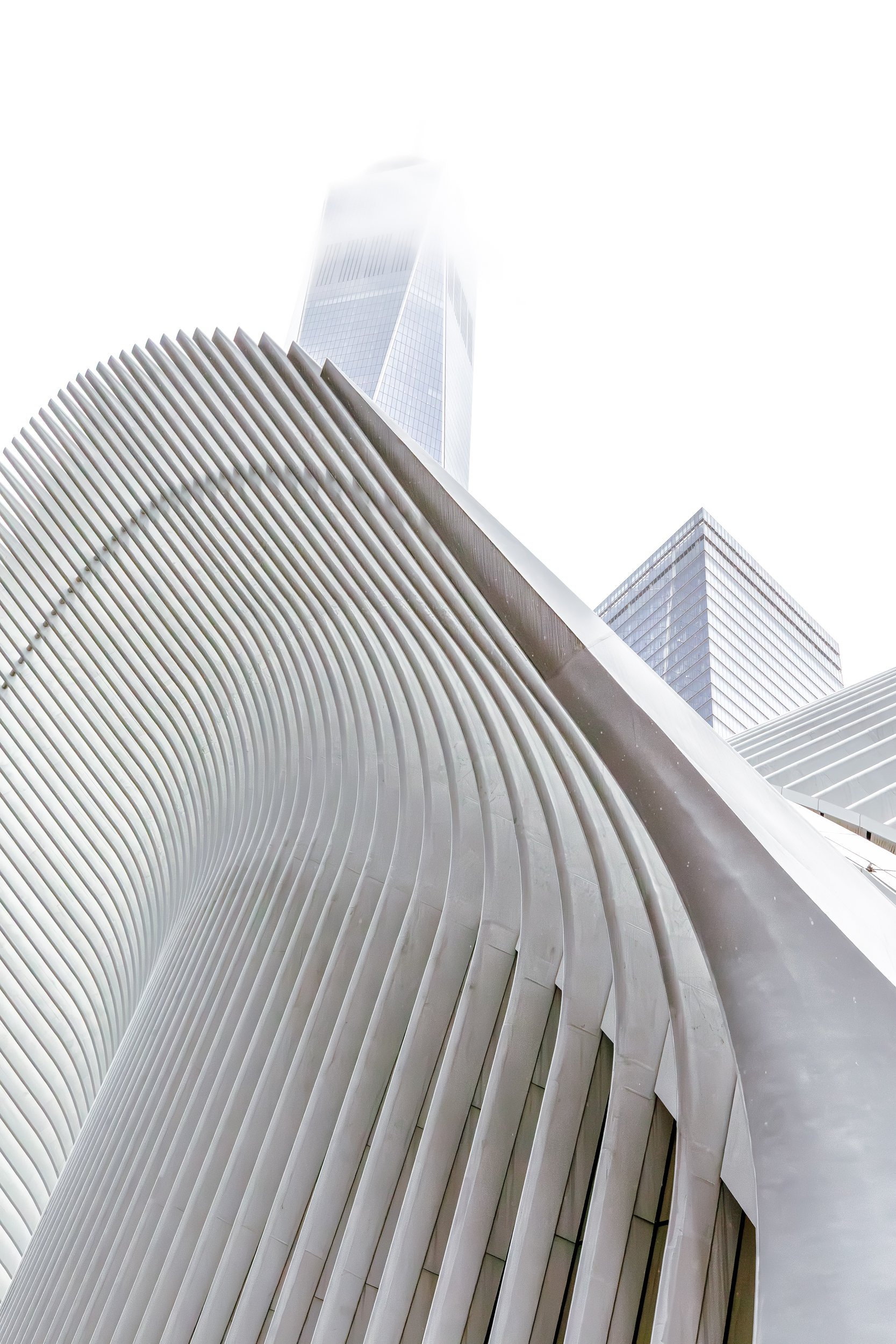 Oculus and One World Trade Center

 

 The Oculus sits at the World Trade Center site below One World Trade Center in Lower Manhattan. The scene brings together the transportation hub’s white exterior structure and the surrounding glass towers. 