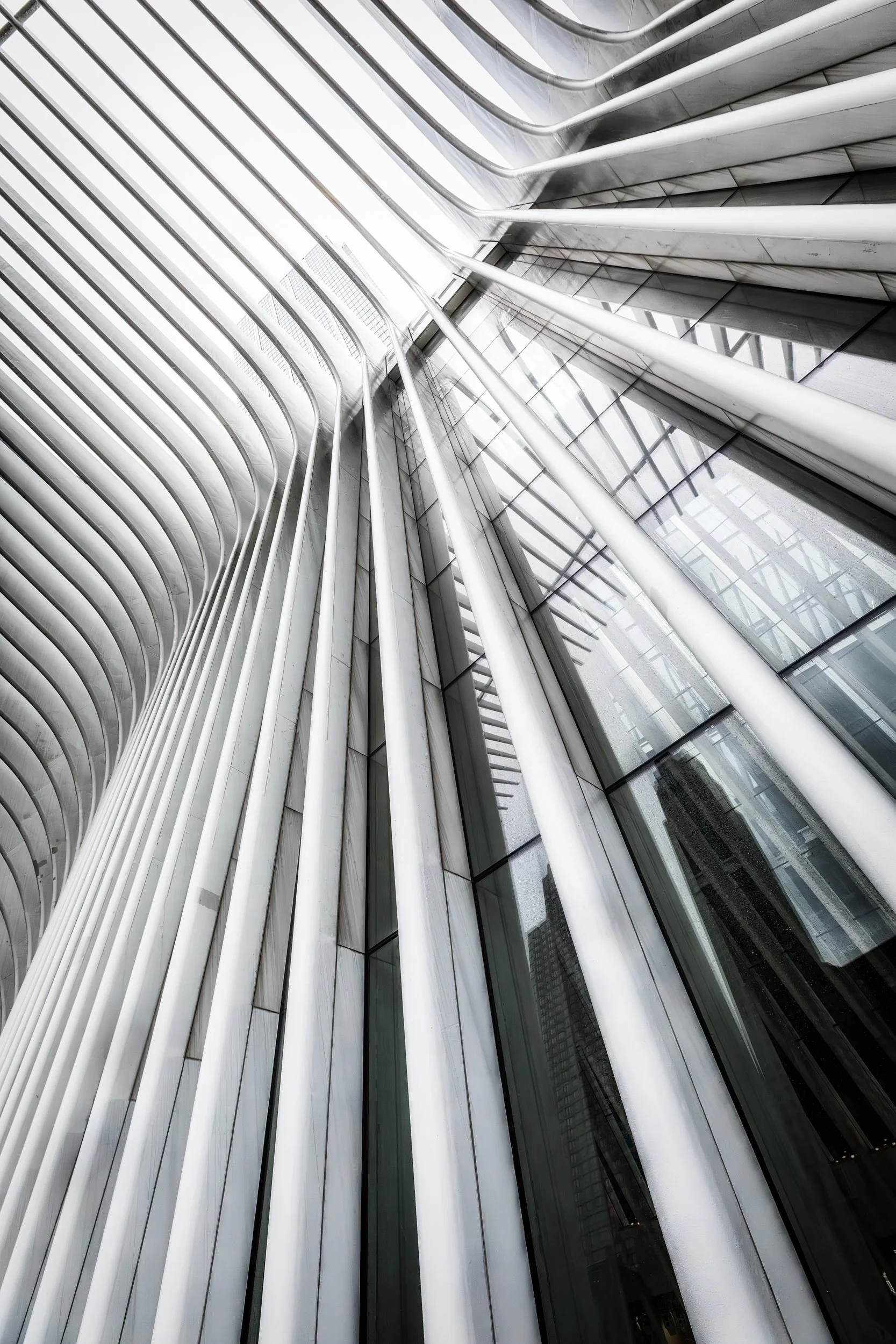 Oculus Ribs and Glass

 

 The Oculus interior at the World Trade Center Transportation Hub features white structural ribs, glass panels, and bright public circulation space. The building is part of the rebuilt World Trade Center complex in Lower Man