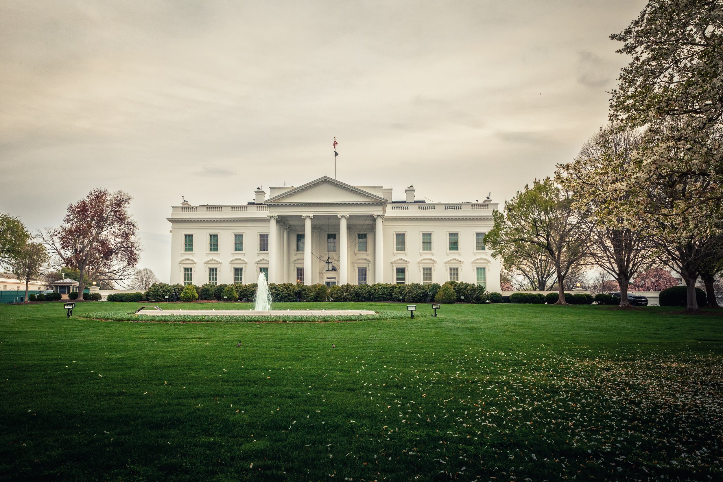 The White House

 

 The White House stands in Washington, DC, seen across the lawn with trees, fountain, and spring landscaping around the historic residence. 