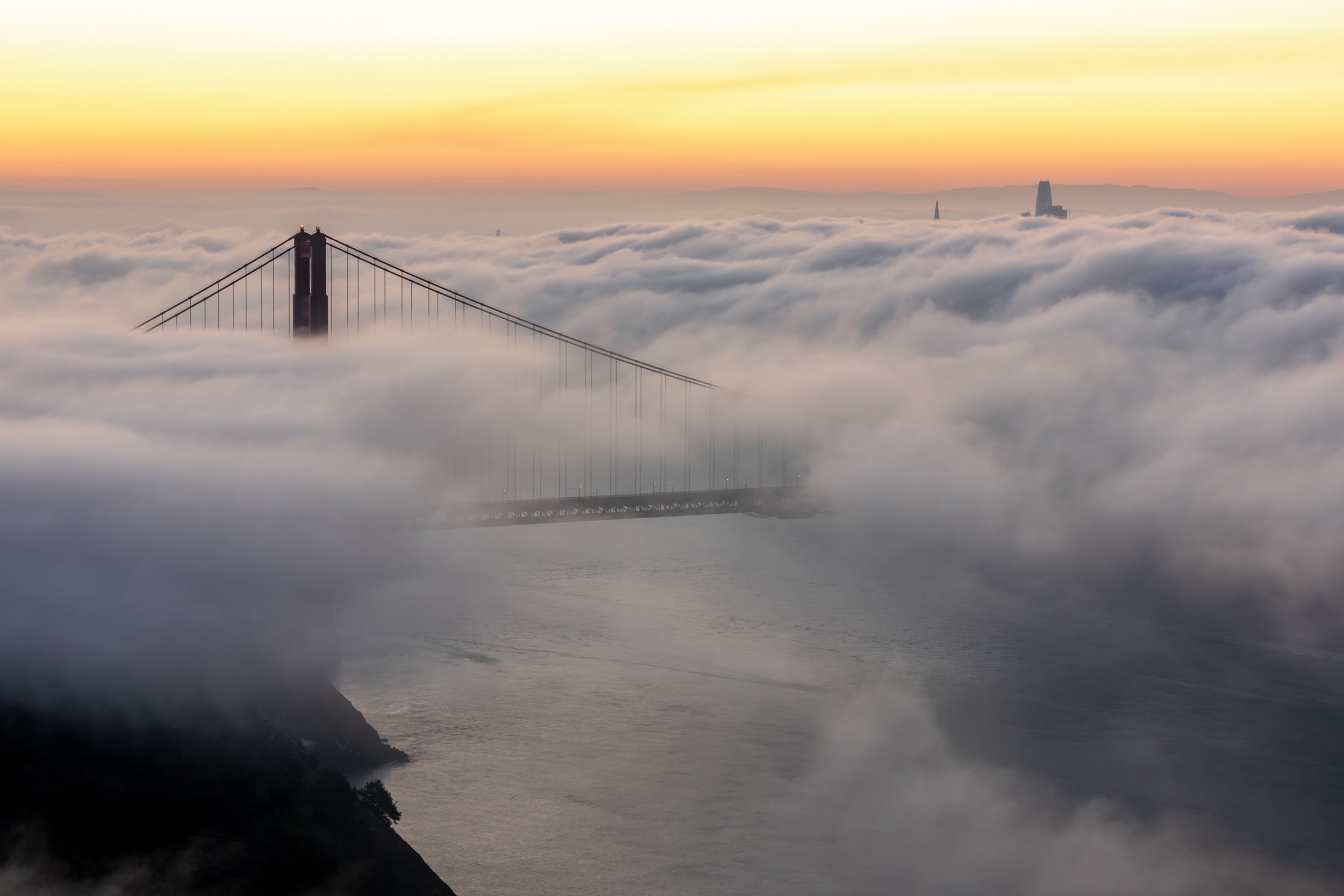 San Francisco Towers Above the Fog

 

 The Golden Gate Bridge tower, Salesforce Tower, the Transamerica Pyramid, and a glimpse of the Bay Bridge appear above coastal fog from the Marin Headlands. 
