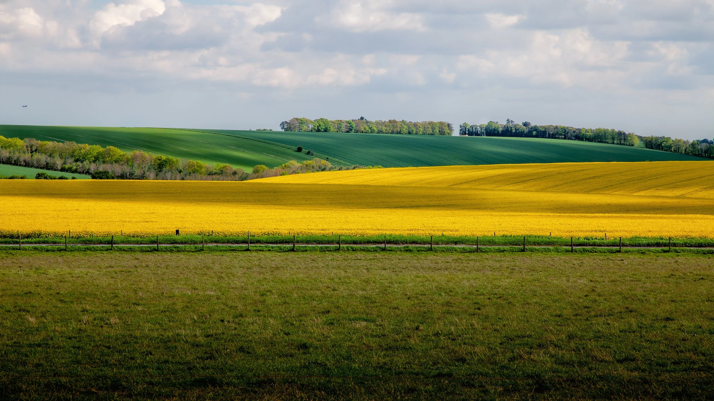Mustard Fields near Stonehenge

 

 Yellow flowering fields spread across the rural landscape near Stonehenge in Wiltshire, England. The surrounding area combines agricultural land, open downland, and one of Britain’s best-known prehistoric sites. 