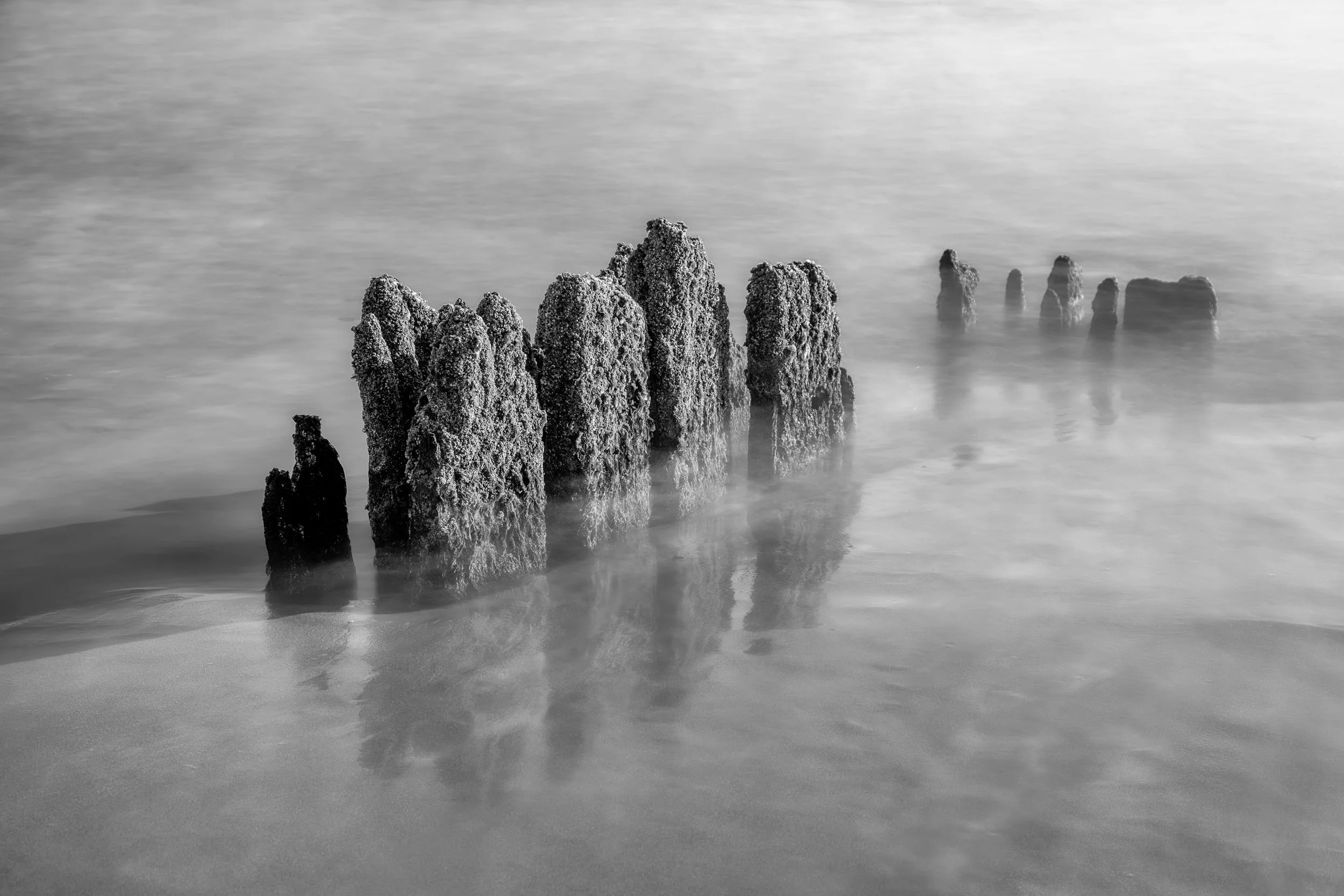 Ghost Pilings

 

 Weathered pilings stand in the surf below Fort Funston in San Francisco, California. Fort Funston is a former military site now managed as part of Golden Gate National Recreation Area. 