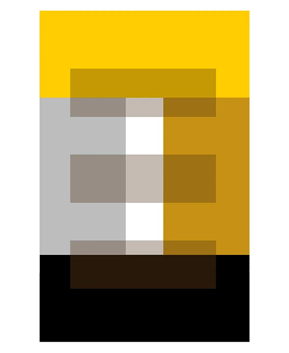 YELLOW AND BLACK WITH THREE BEIGE TRANSPARENCIES