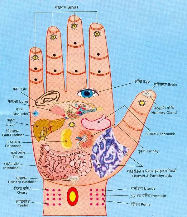 accupressure_hand_palm_health.jpg