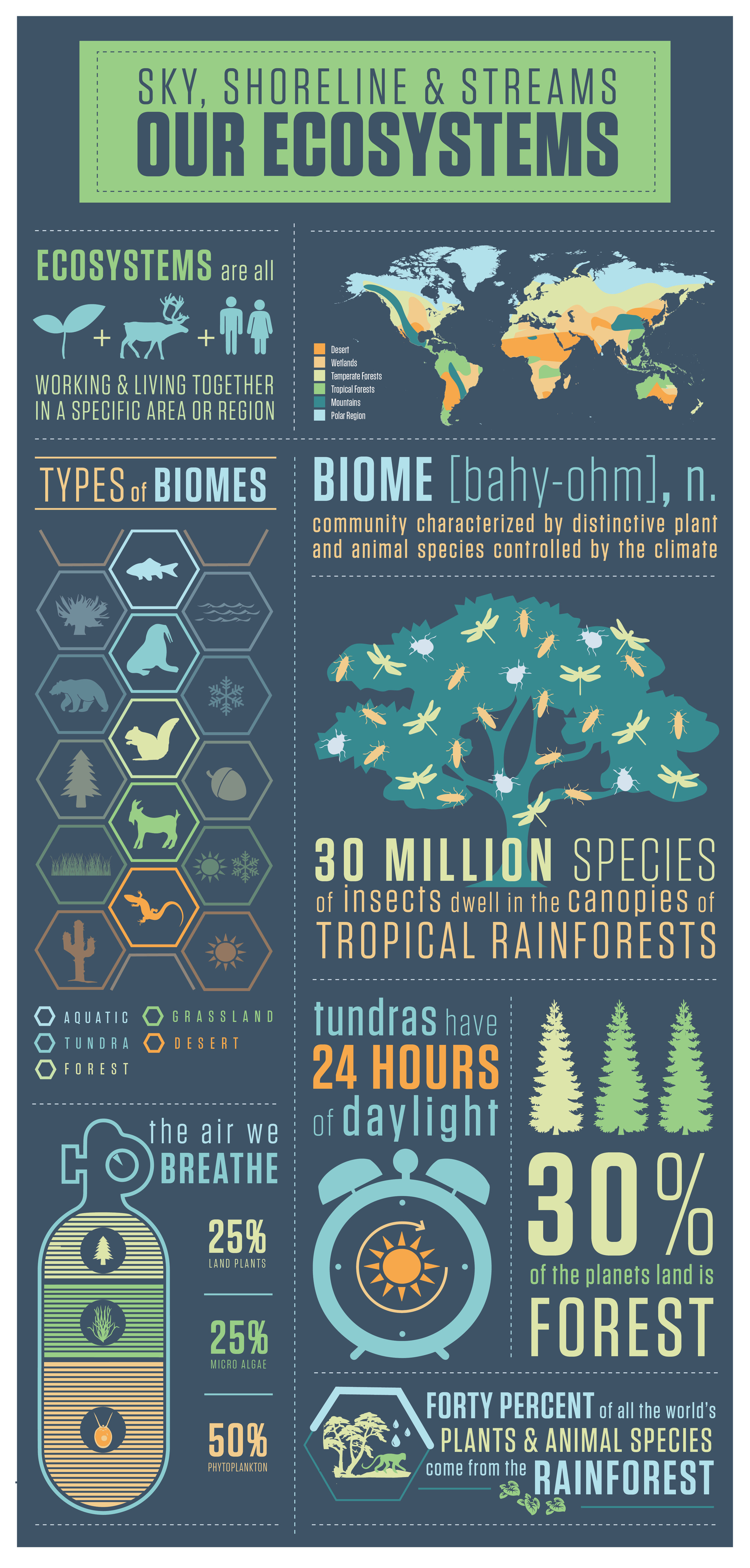 Infographic1.jpg