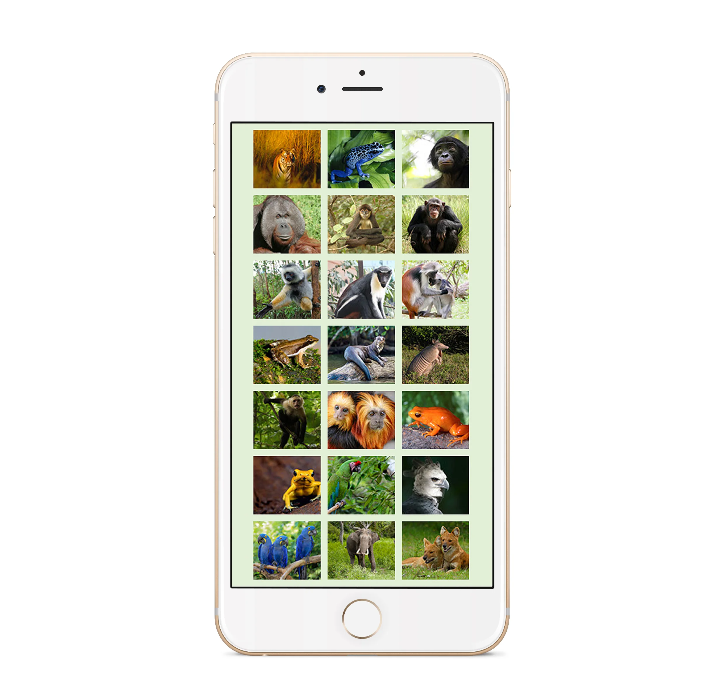 new app_2.jpg