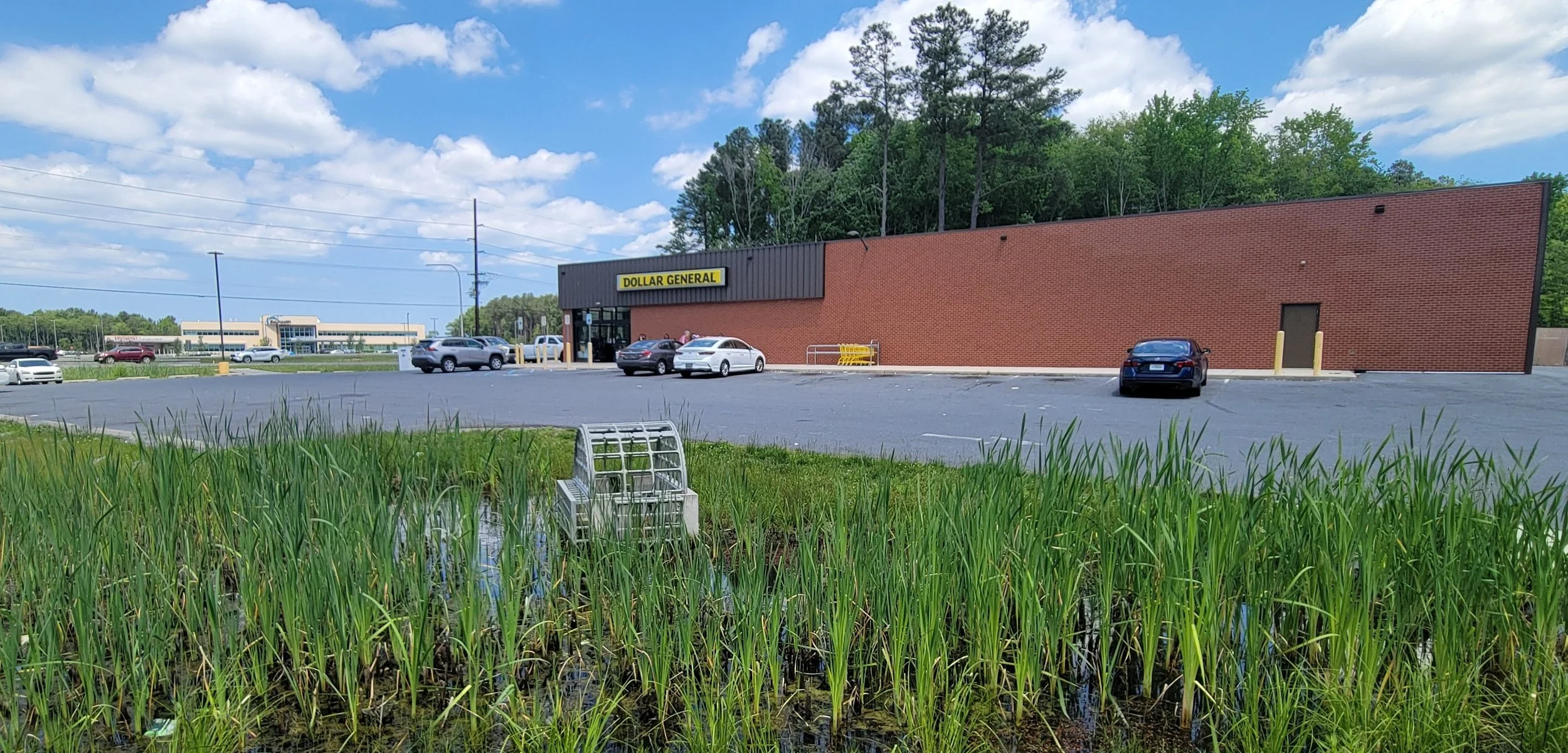 Dollar General