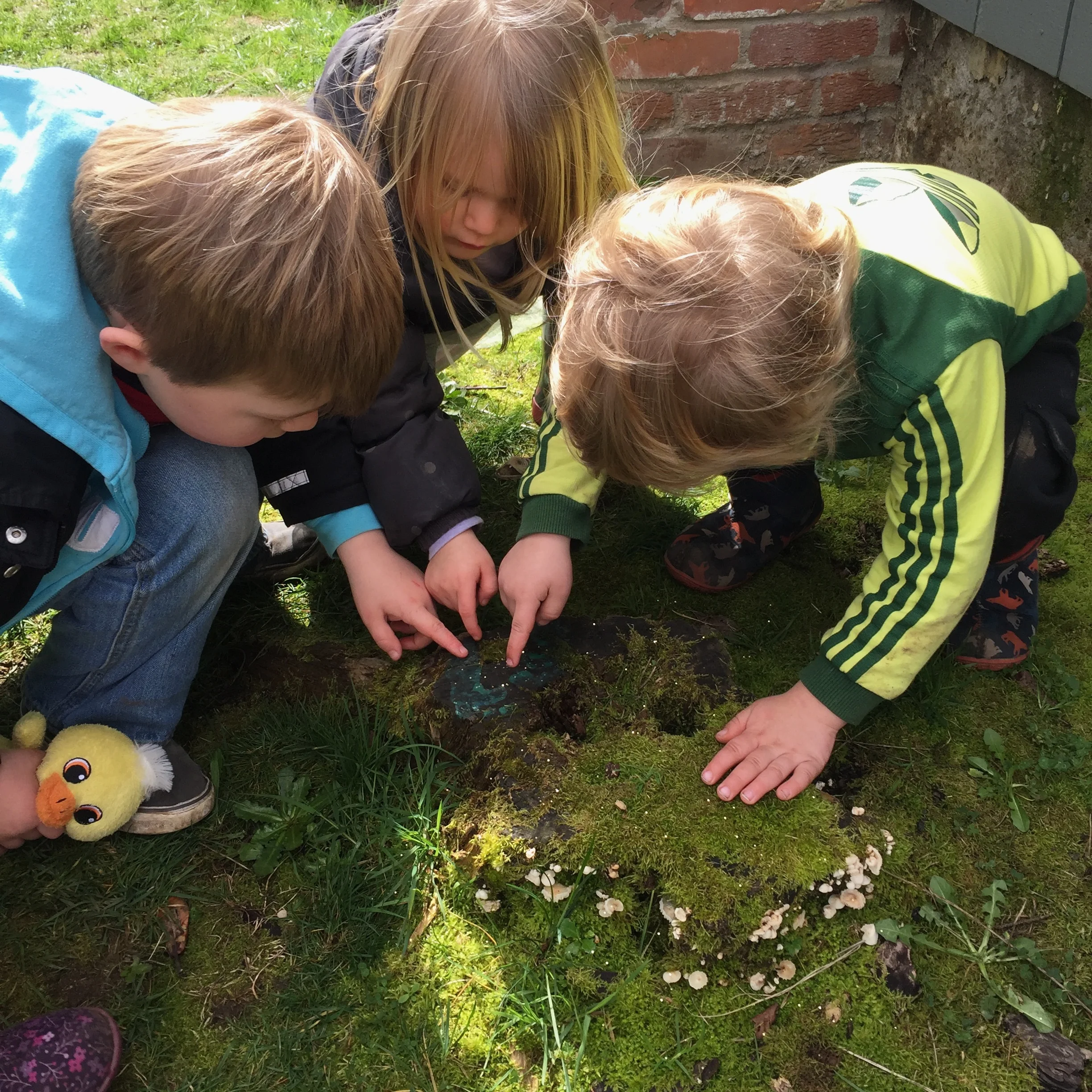 Leprechauns have left a trail of gold