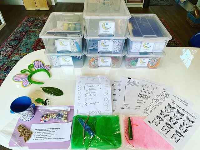 Week 3- Suncatchers with prisms, growing wheat grass, sidewalk chalk maze, A very hungry caterpillar collage, insect math and kazoos and scarves for interactive music time! Let&rsquo;s get those brains fired up and those fine and gross motor skills g