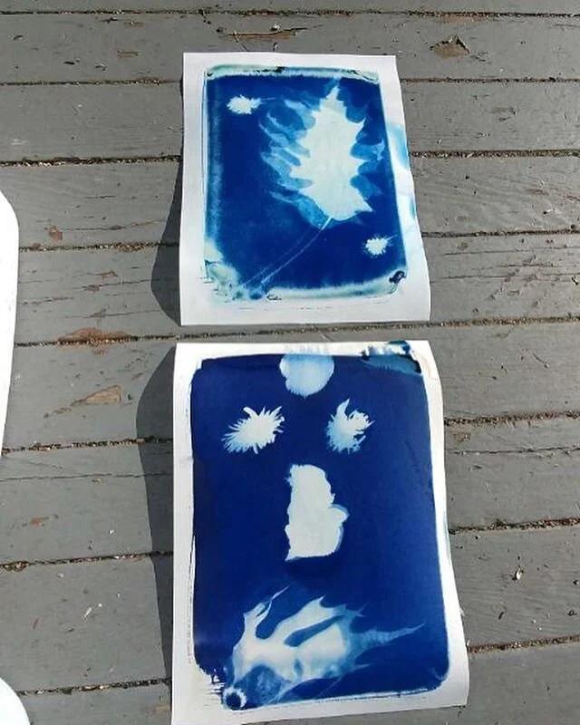 Love these Cyanotype sun prints the kiddos are making from their art box. Nature sure is beautiful. #sunprints #cyanotype #cyanotypeprint #natureprint #creativekids #kidsmakeart #letsmakethings #pdxplayschool #playschool #papermoonplayschool #playbas