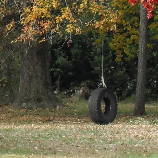 The Tire Swing