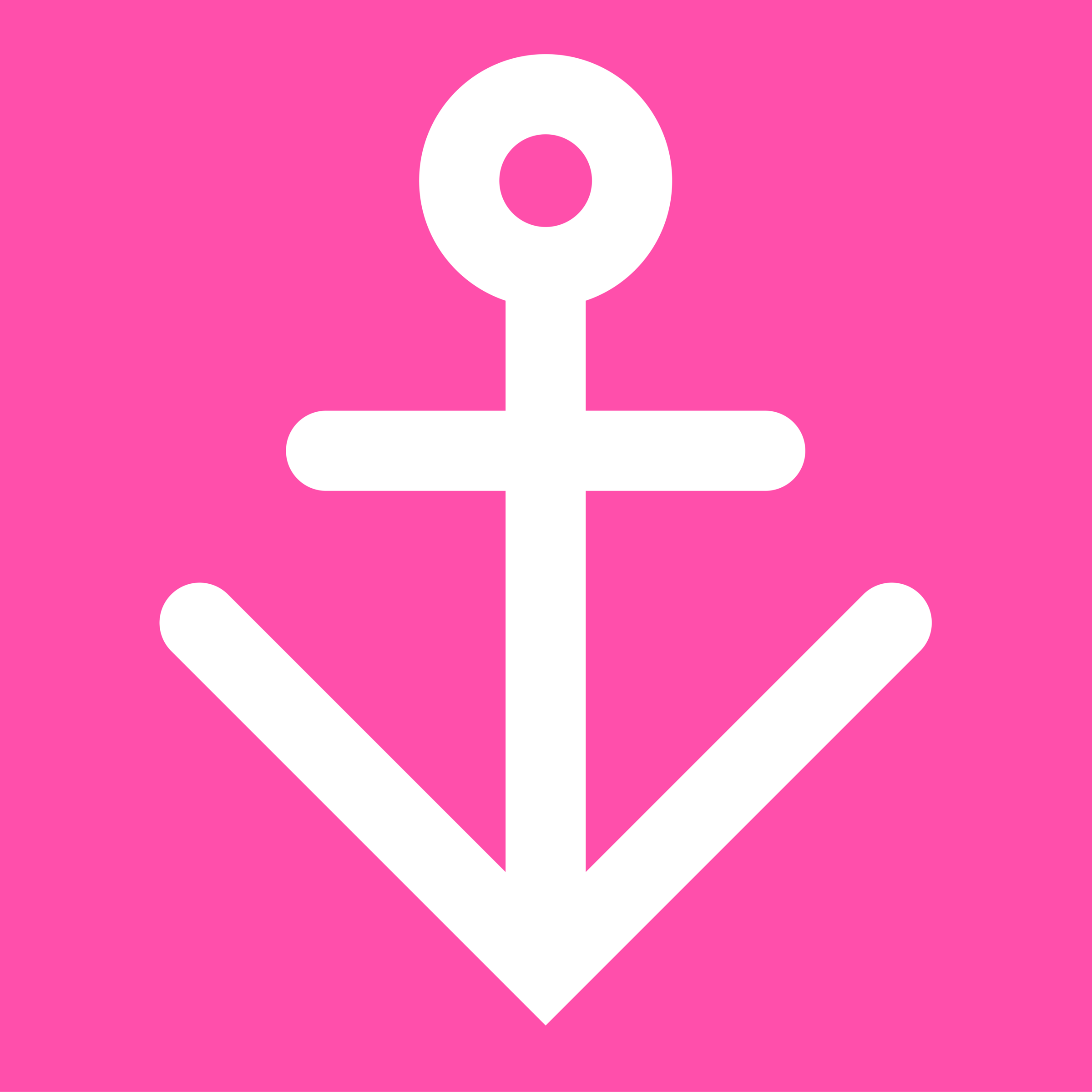 Vespucci Logo Large (4).png