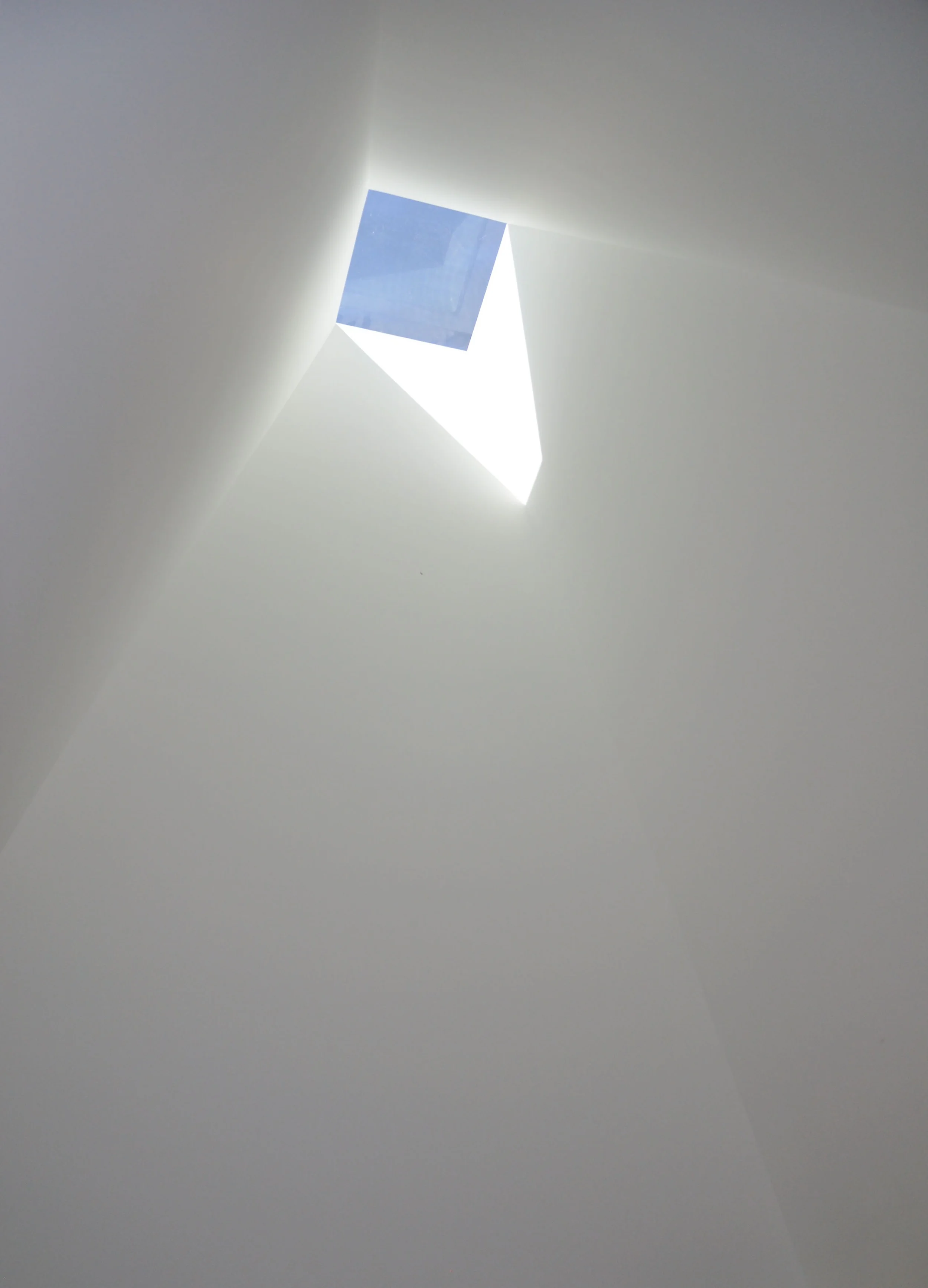 ARAPC andrew reyniak architect