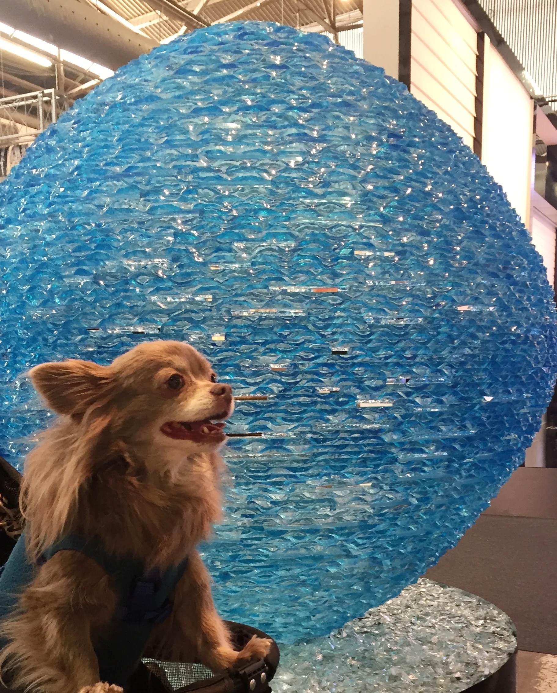 Architectural Digest Show recap