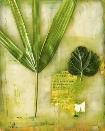 Palm and hibiscus leaves + text on a printing plate.