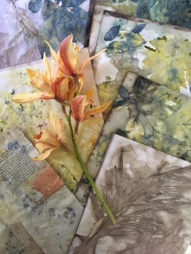 Examples of botanical eco printing on paper
