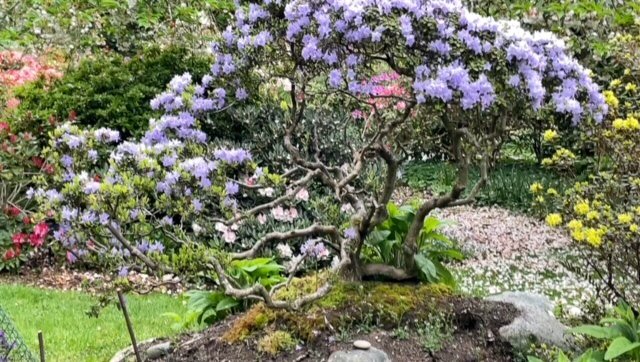 Recovering Art and Time!