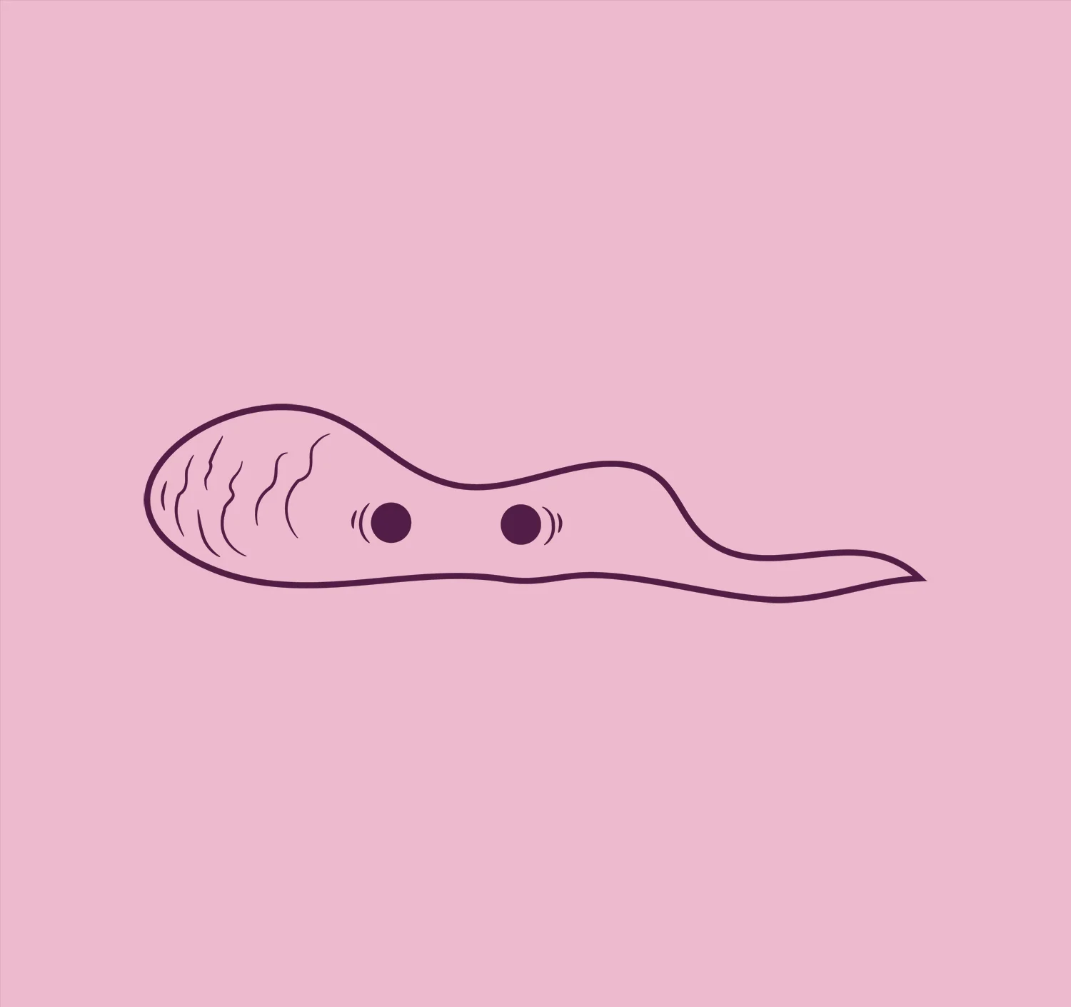 poops_04.jpg