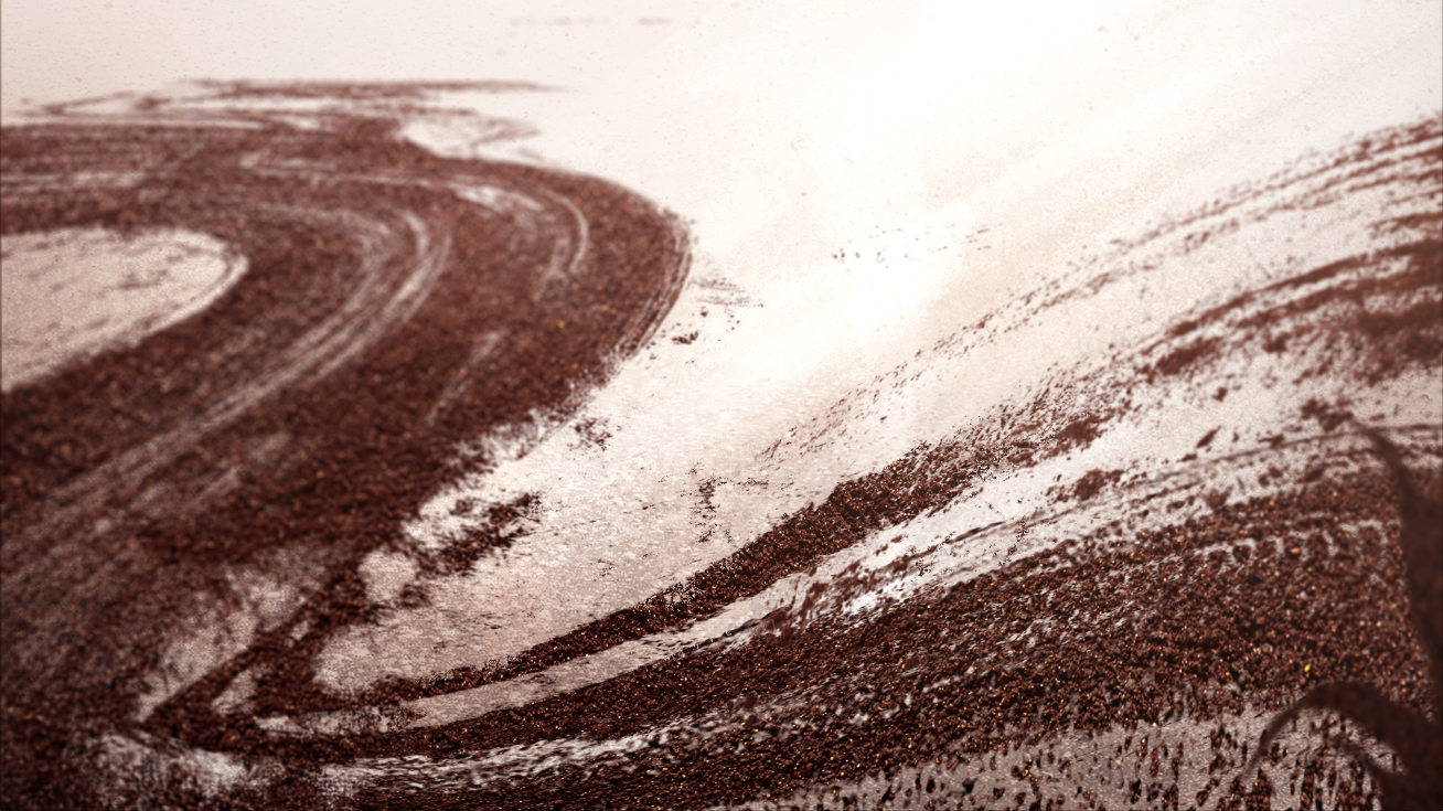 B02_cornfield_trans_02.png