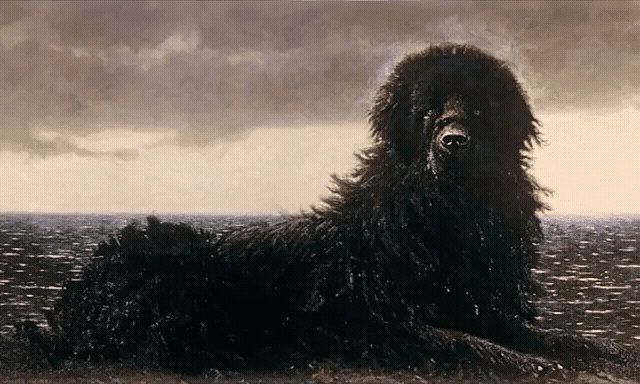 Gen-3 Alpha Turbo 33, Trimmed.mp4.gif