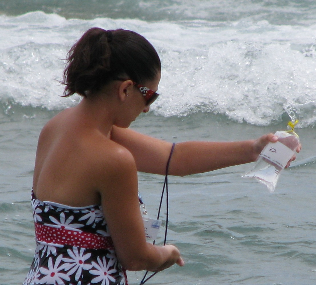 Beach monitoring (City of Racine)