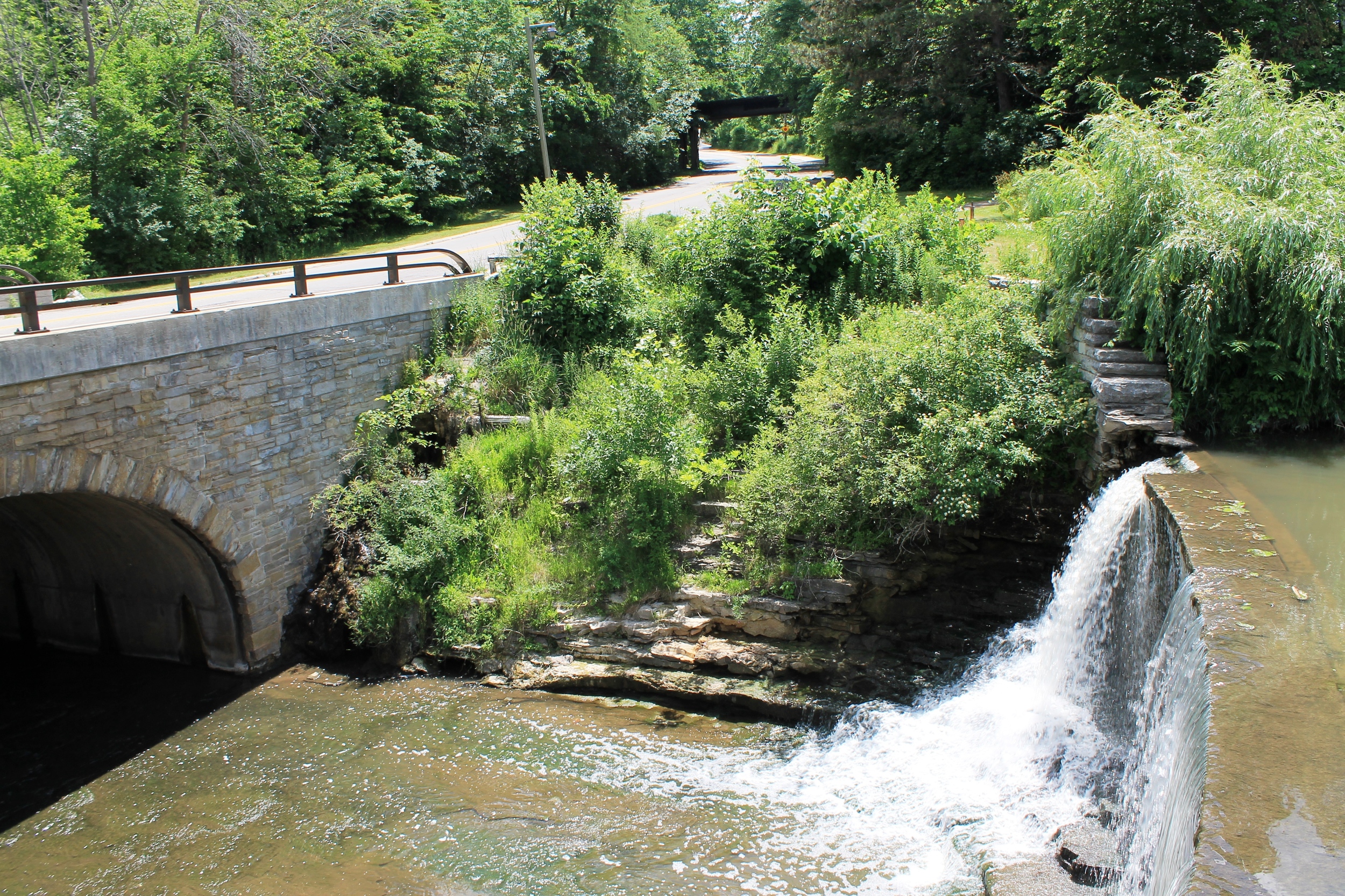 Mill Pond Dam