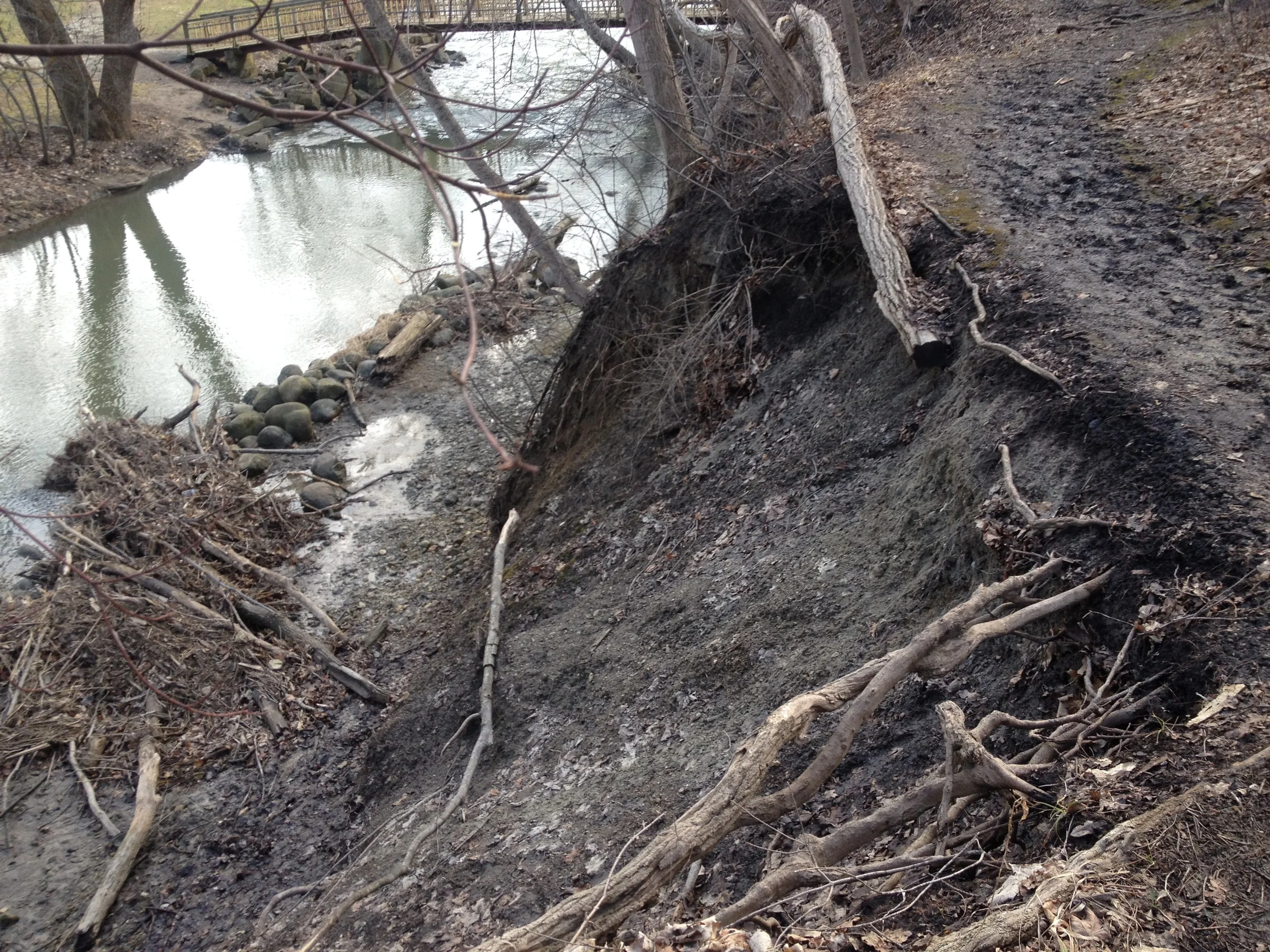 Bluff erosion in Petrifying Springs Park in Kenosha