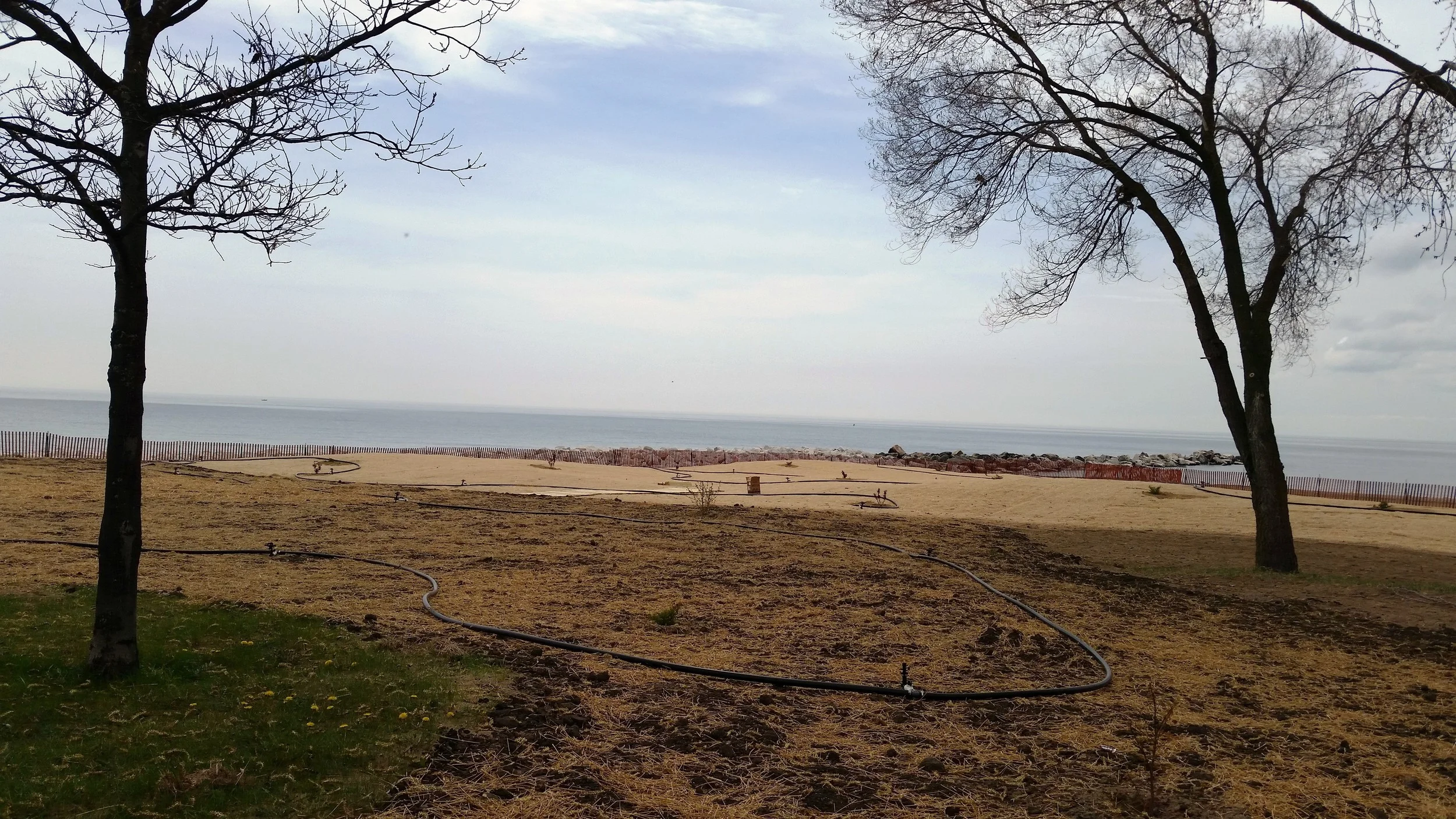 A vegetated transitional area at Eichelman Park Beach promotes infiltration of stormwater, creates new habitat and enhances the beauty of the park.