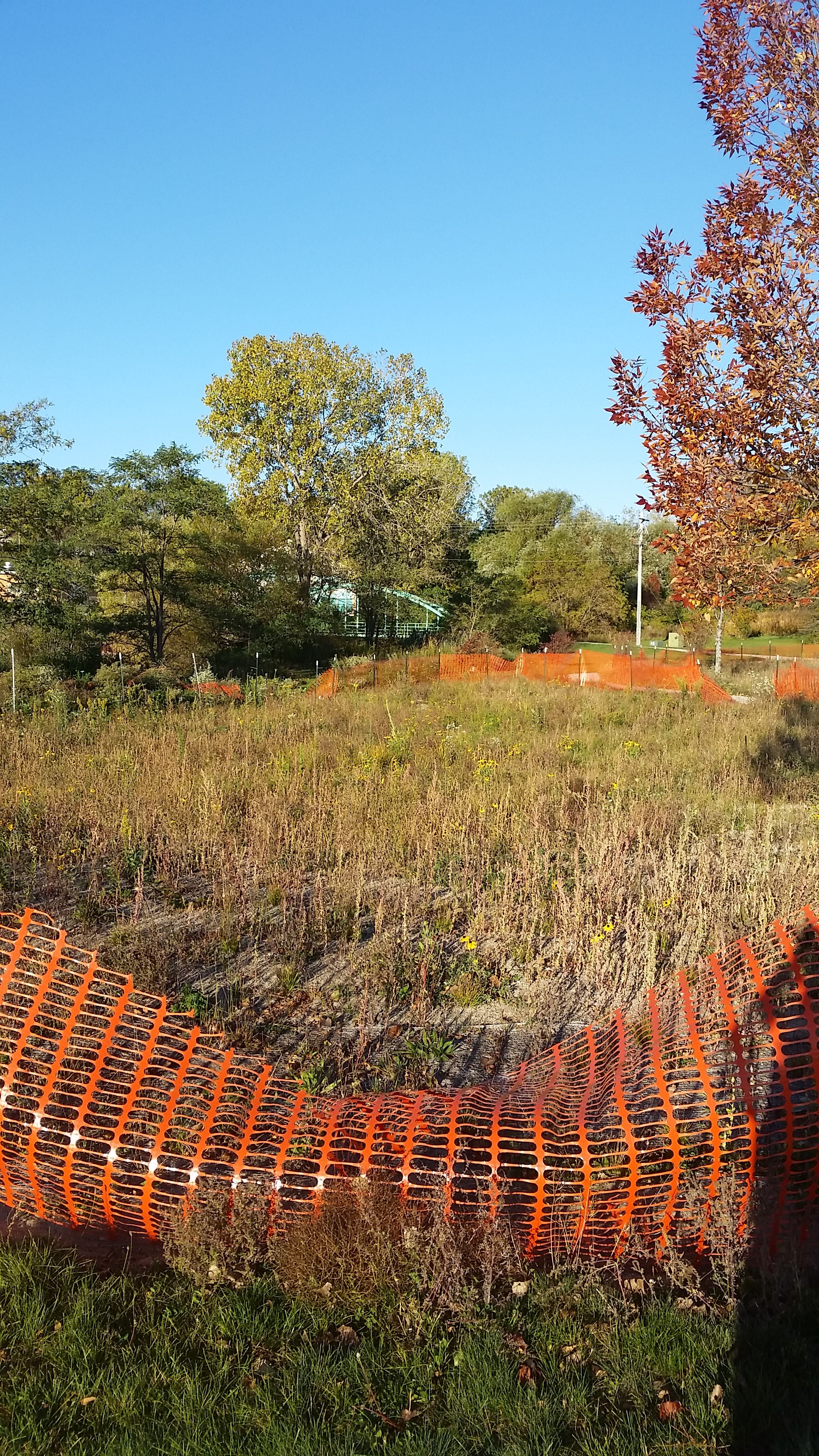 A large rain garden at Grant Park captures stormwater, creates habitat and helps maintain the biodiversity of native plant ecosystems.