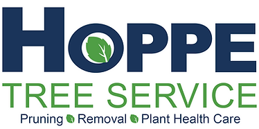 Copy-of-Hoppe_Logo_PRPHC-_1_-_1_.png