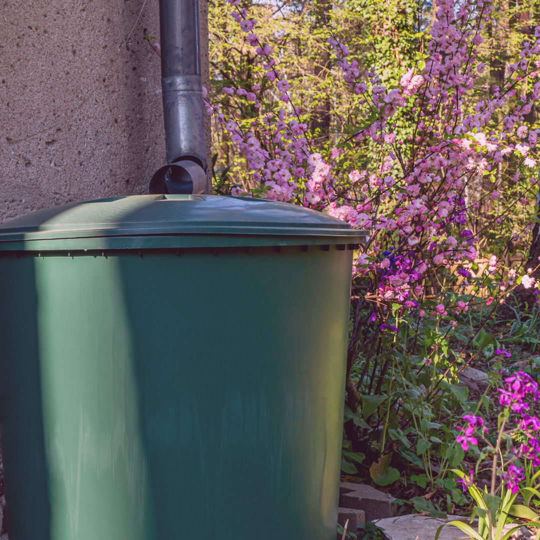 Webinar: Managing Water Where it Falls