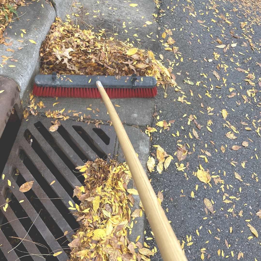 Webinar: Leaf-free Streets for Clean Waters