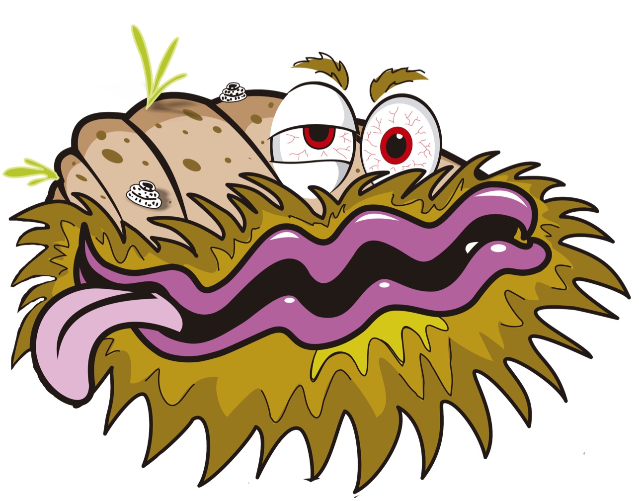 clam isolated.jpg