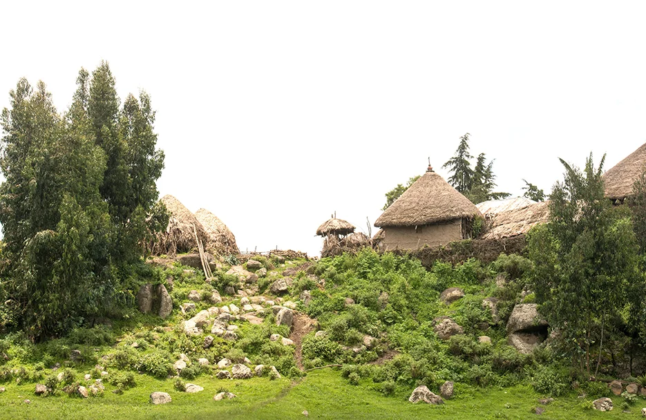 _TNHweb6710.jpg